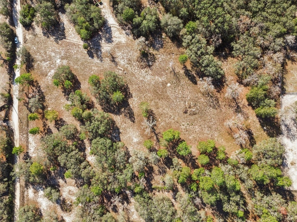 14459 Coyote Road Hudson FL 34669 TB8461832 image33