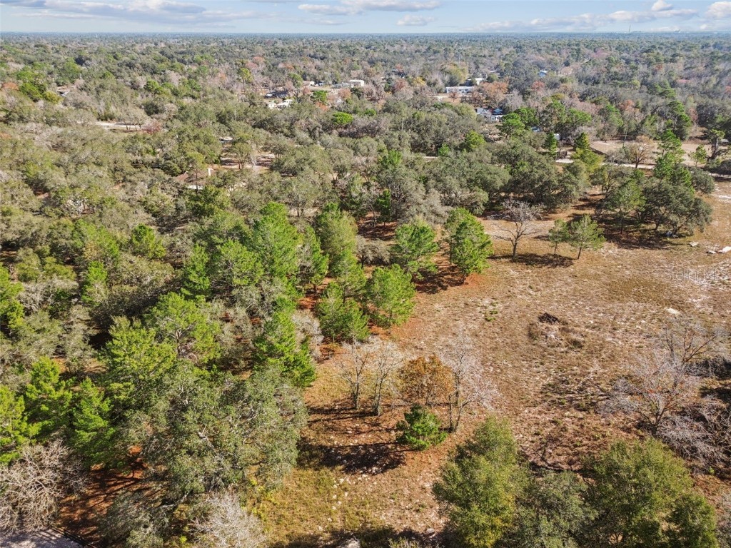 14459 Coyote Road Hudson FL 34669 TB8461832 image43