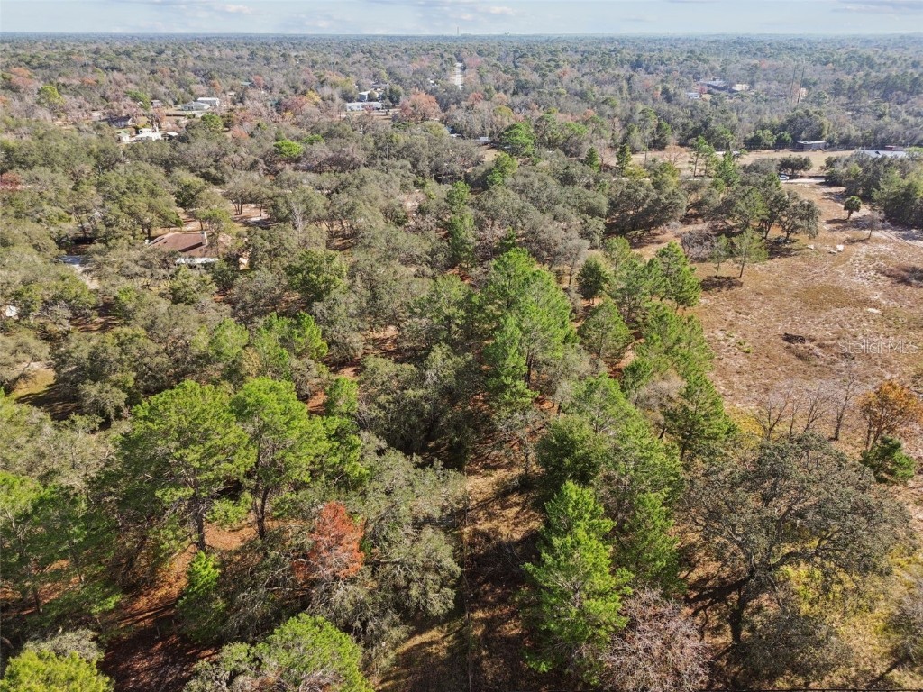 14459 Coyote Road Hudson FL 34669 TB8461832 image44