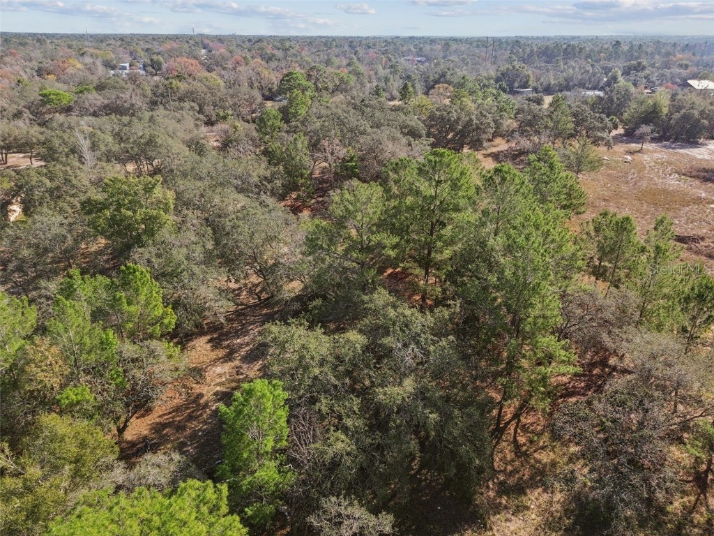 14459 Coyote Road Hudson FL 34669 TB8461832 image46