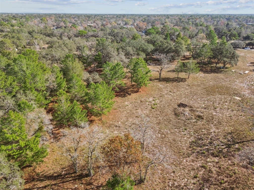 14459 Coyote Road Hudson FL 34669 TB8461832 image47