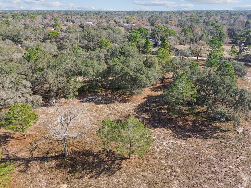 14459 Coyote Road Hudson FL 34669 TB8461832 image48