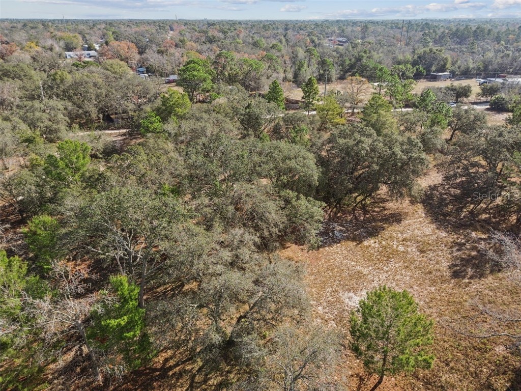 14459 Coyote Road Hudson FL 34669 TB8461832 image49