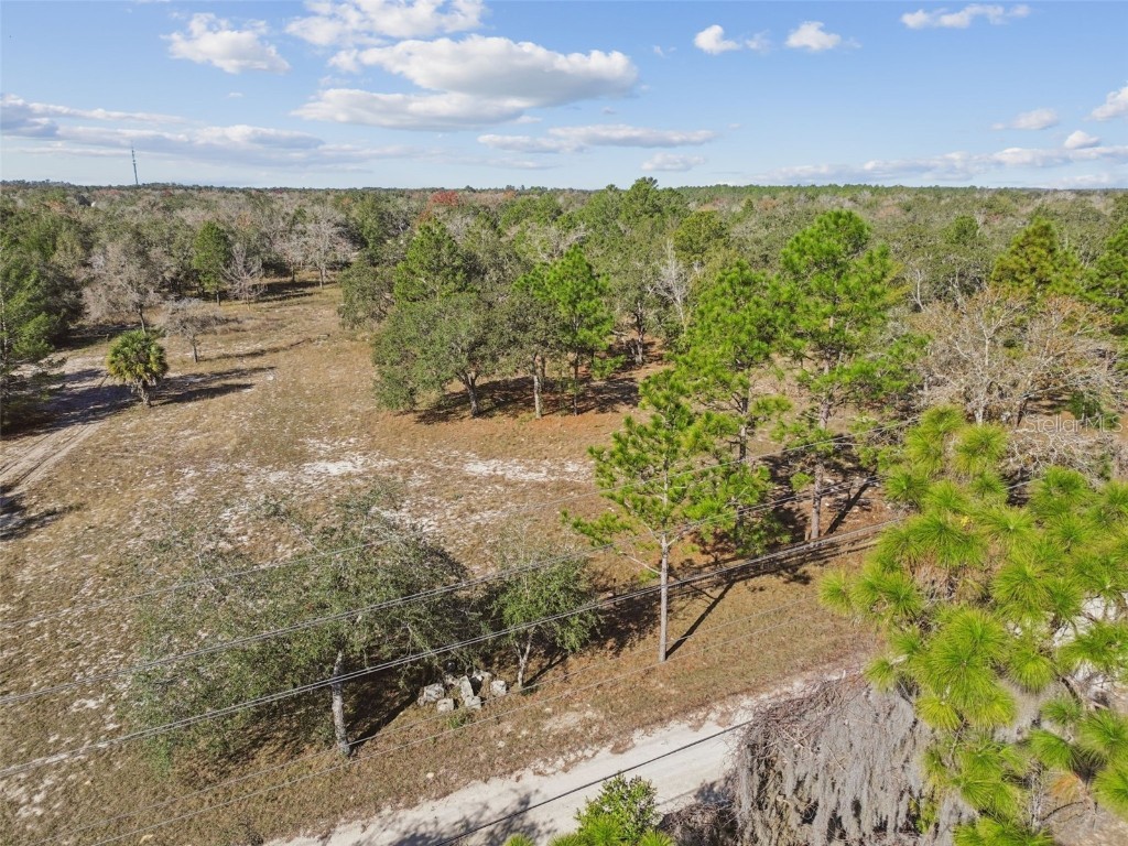 14459 Coyote Road Hudson FL 34669 TB8461832 image5