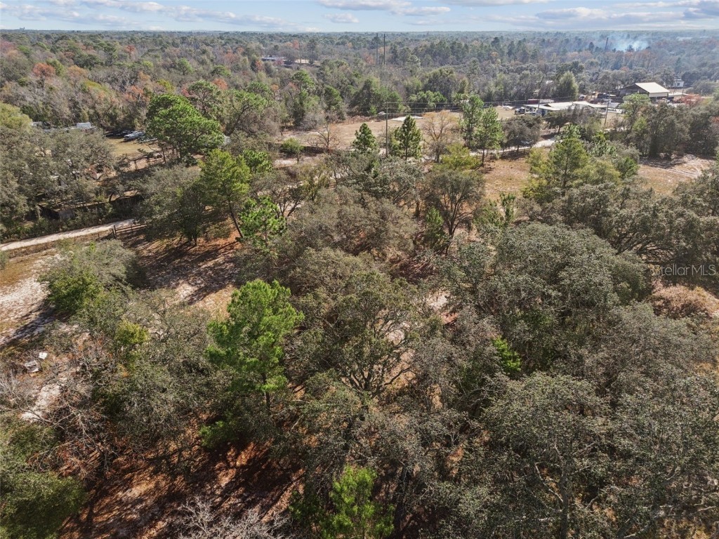 14459 Coyote Road Hudson FL 34669 TB8461832 image50