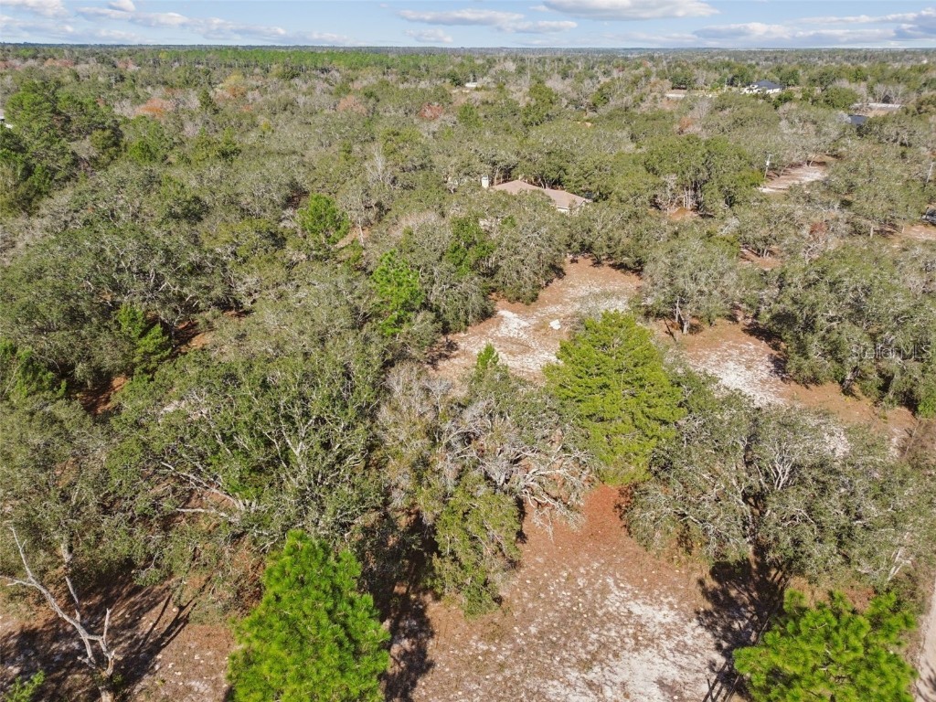 14459 Coyote Road Hudson FL 34669 TB8461832 image51