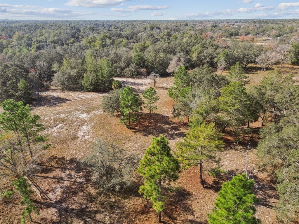 14459 Coyote Road Hudson FL 34669 TB8461832 image52