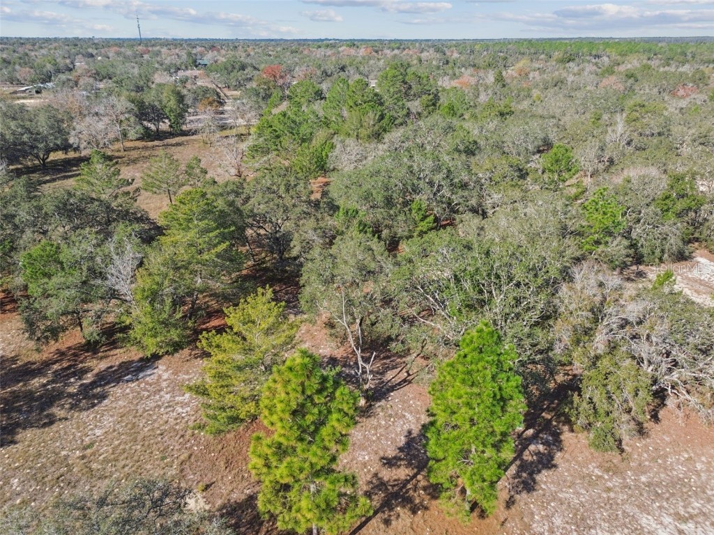 14459 Coyote Road Hudson FL 34669 TB8461832 image53