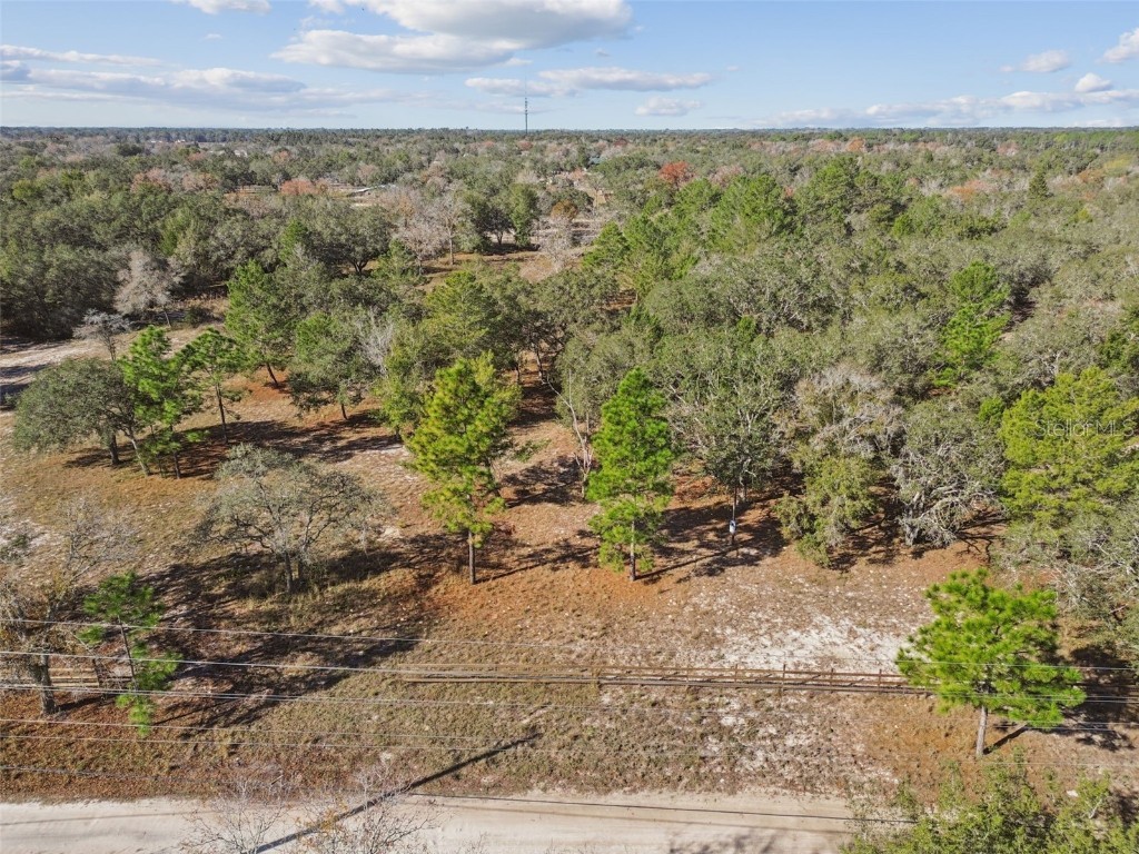 14459 Coyote Road Hudson FL 34669 TB8461832 image7