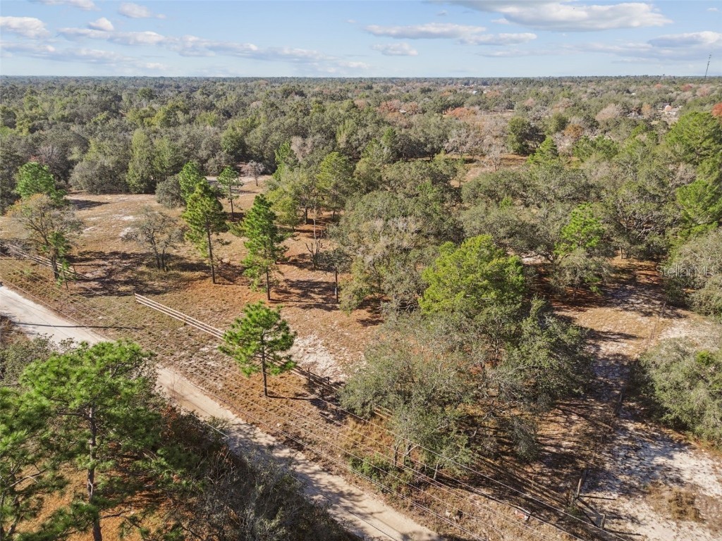 14459 Coyote Road Hudson FL 34669 TB8461832 image8