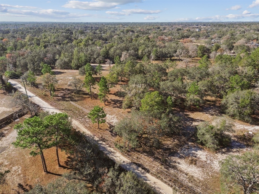 14459 Coyote Road Hudson FL 34669 TB8461832 image9