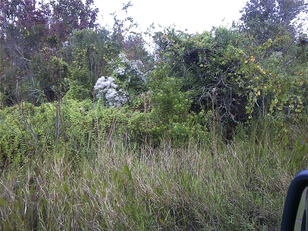 14459 NW 246th Street Okeechobee FL 34972 OK223224 image1