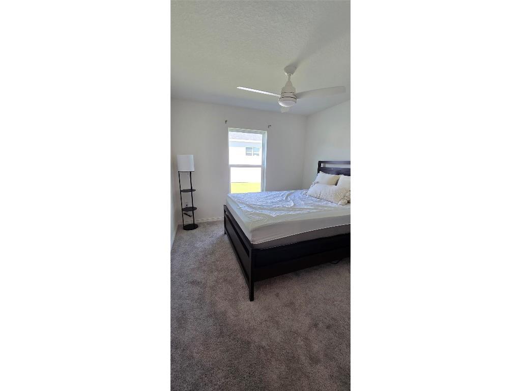 1446 Geranium Drive Mascotte FL 34753 O6344052 image14