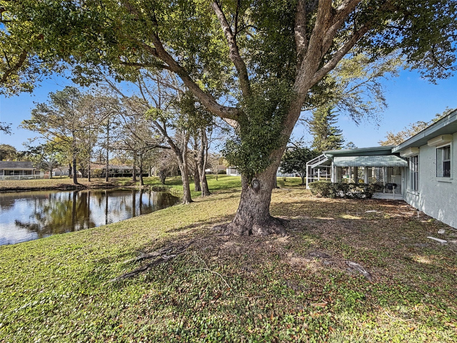 1446 Queen Anne Boulevard Palm Harbor FL 34684 - LAKE TARPON TB8477938 image3