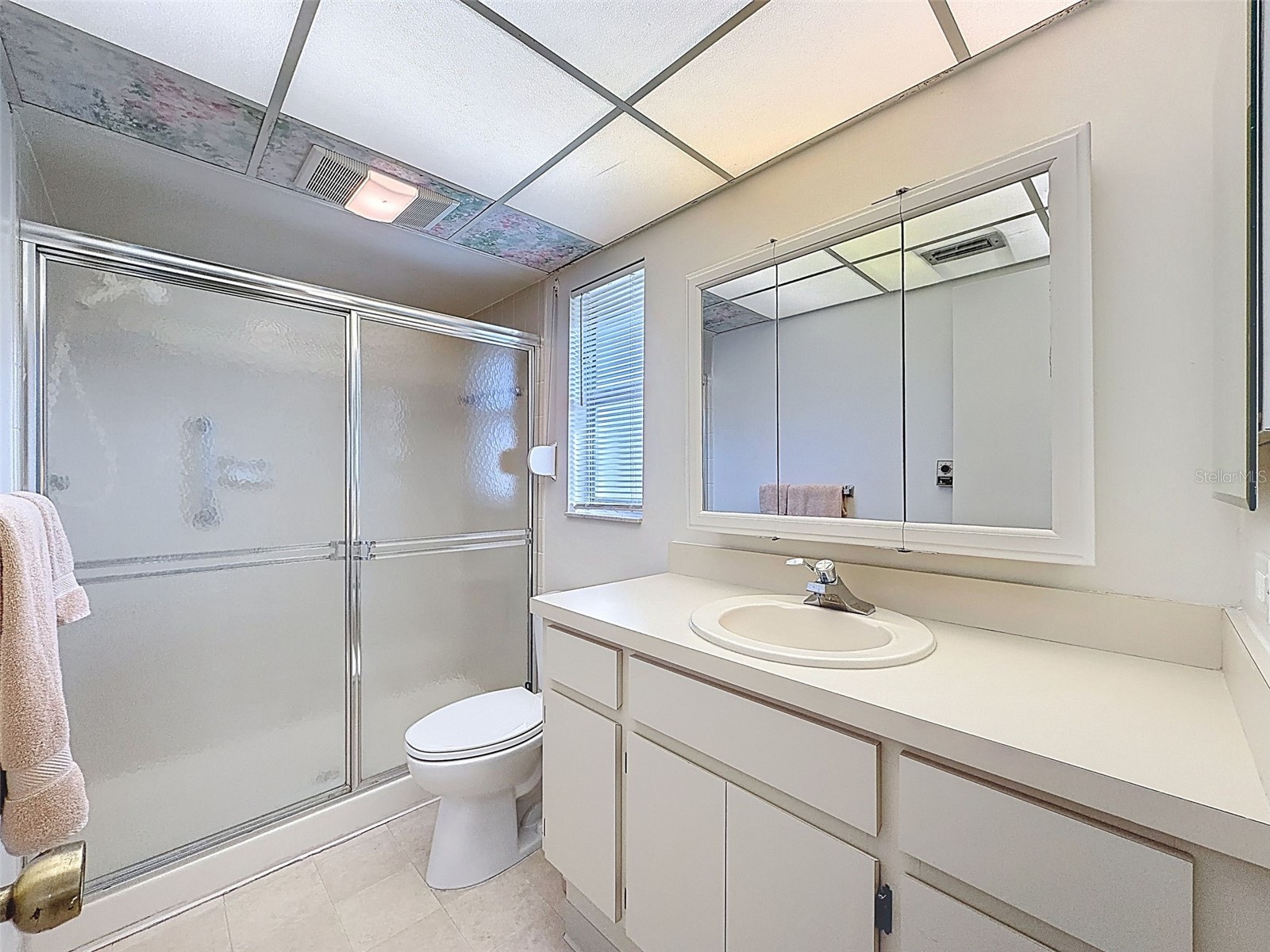 1446 Queen Anne Boulevard Palm Harbor FL 34684 - LAKE TARPON TB8477938 image30