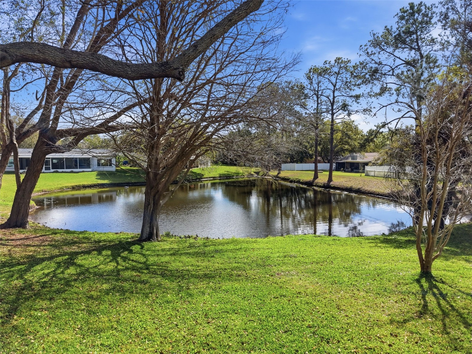 1446 Queen Anne Boulevard Palm Harbor FL 34684 - LAKE TARPON TB8477938 image4