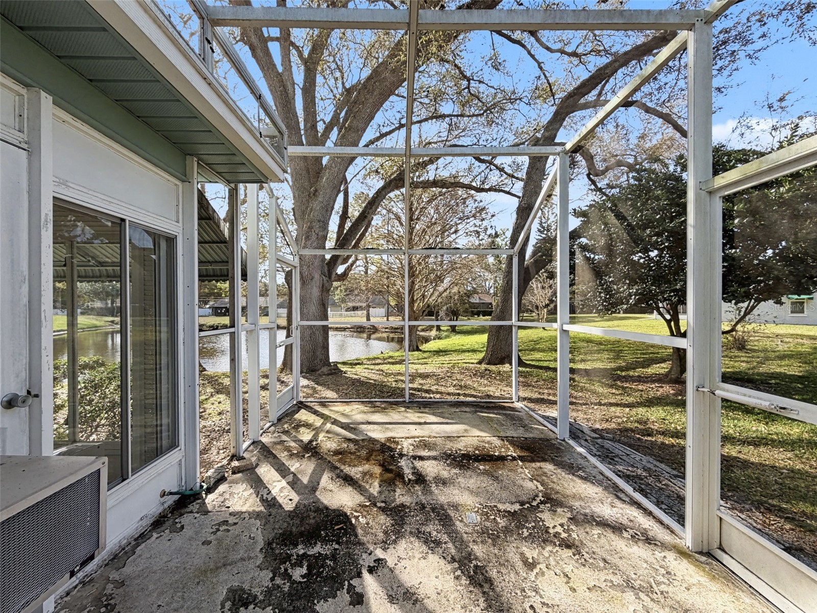 1446 Queen Anne Boulevard Palm Harbor FL 34684 - LAKE TARPON TB8477938 image52