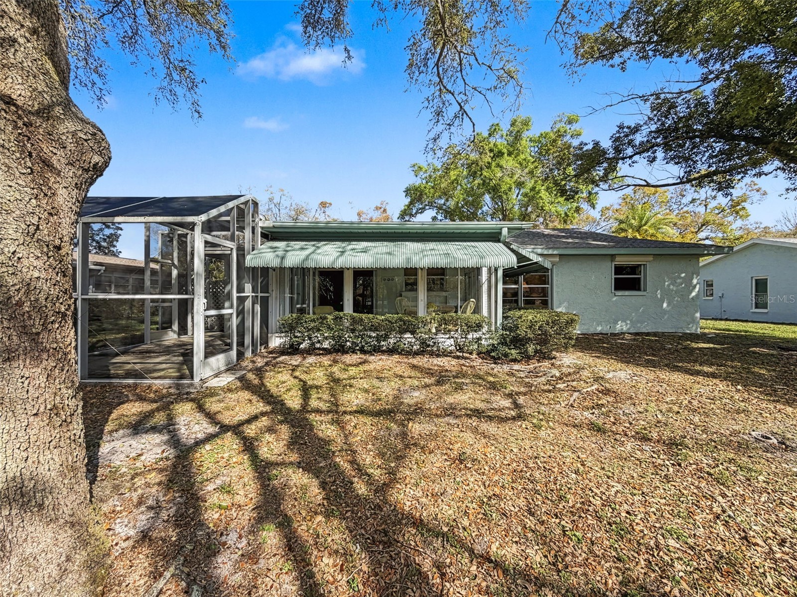 1446 Queen Anne Boulevard Palm Harbor FL 34684 - LAKE TARPON TB8477938 image54