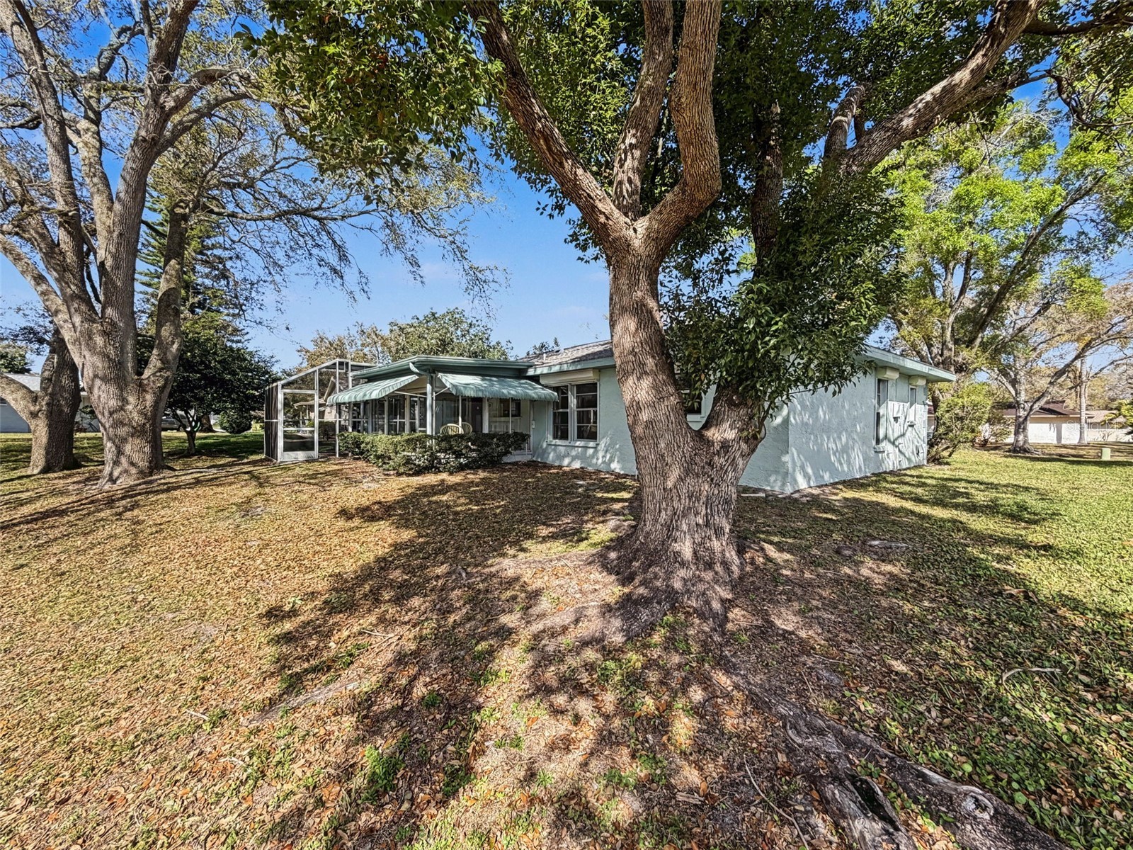 1446 Queen Anne Boulevard Palm Harbor FL 34684 - LAKE TARPON TB8477938 image56