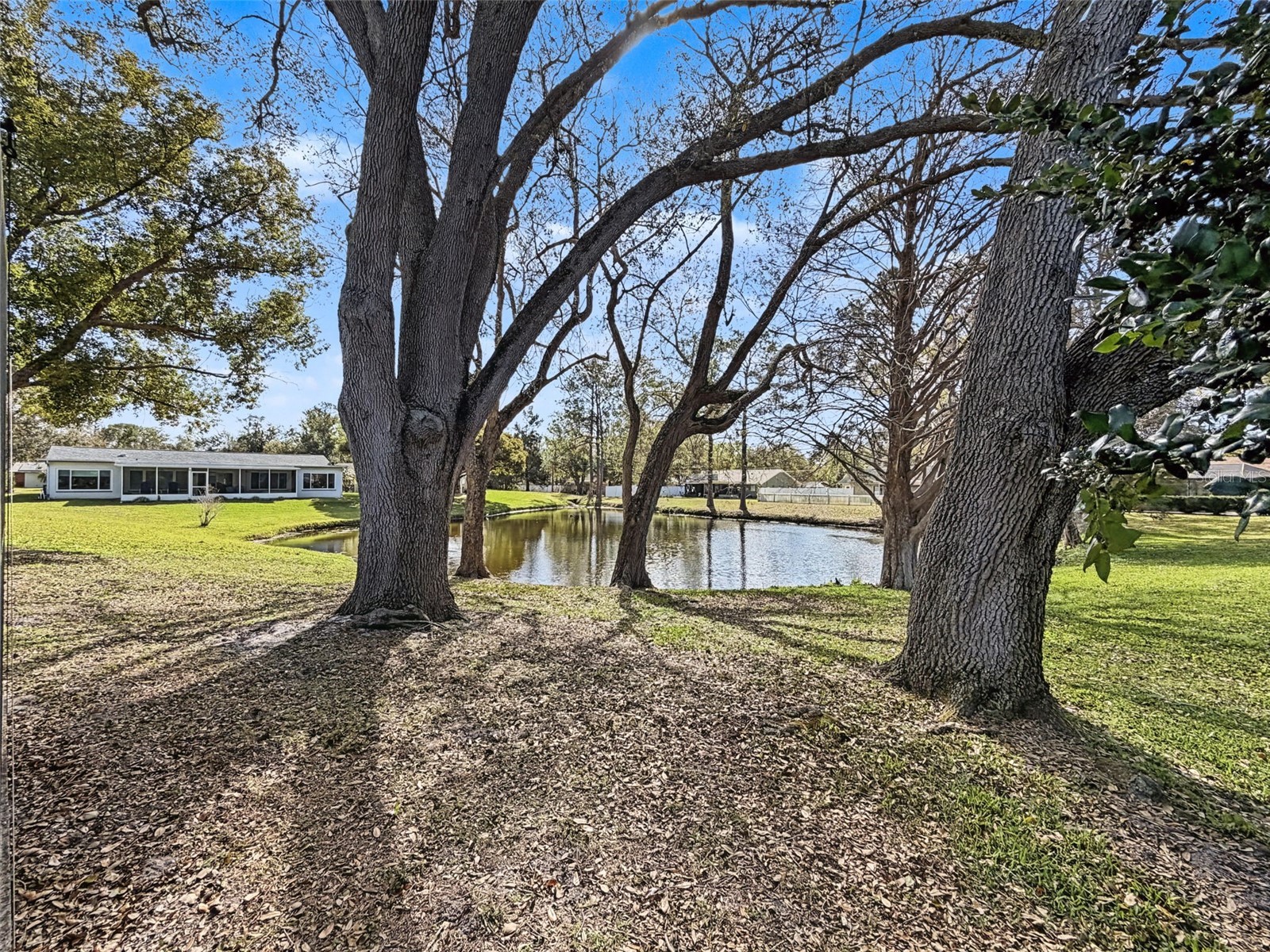 1446 Queen Anne Boulevard Palm Harbor FL 34684 - LAKE TARPON TB8477938 image57
