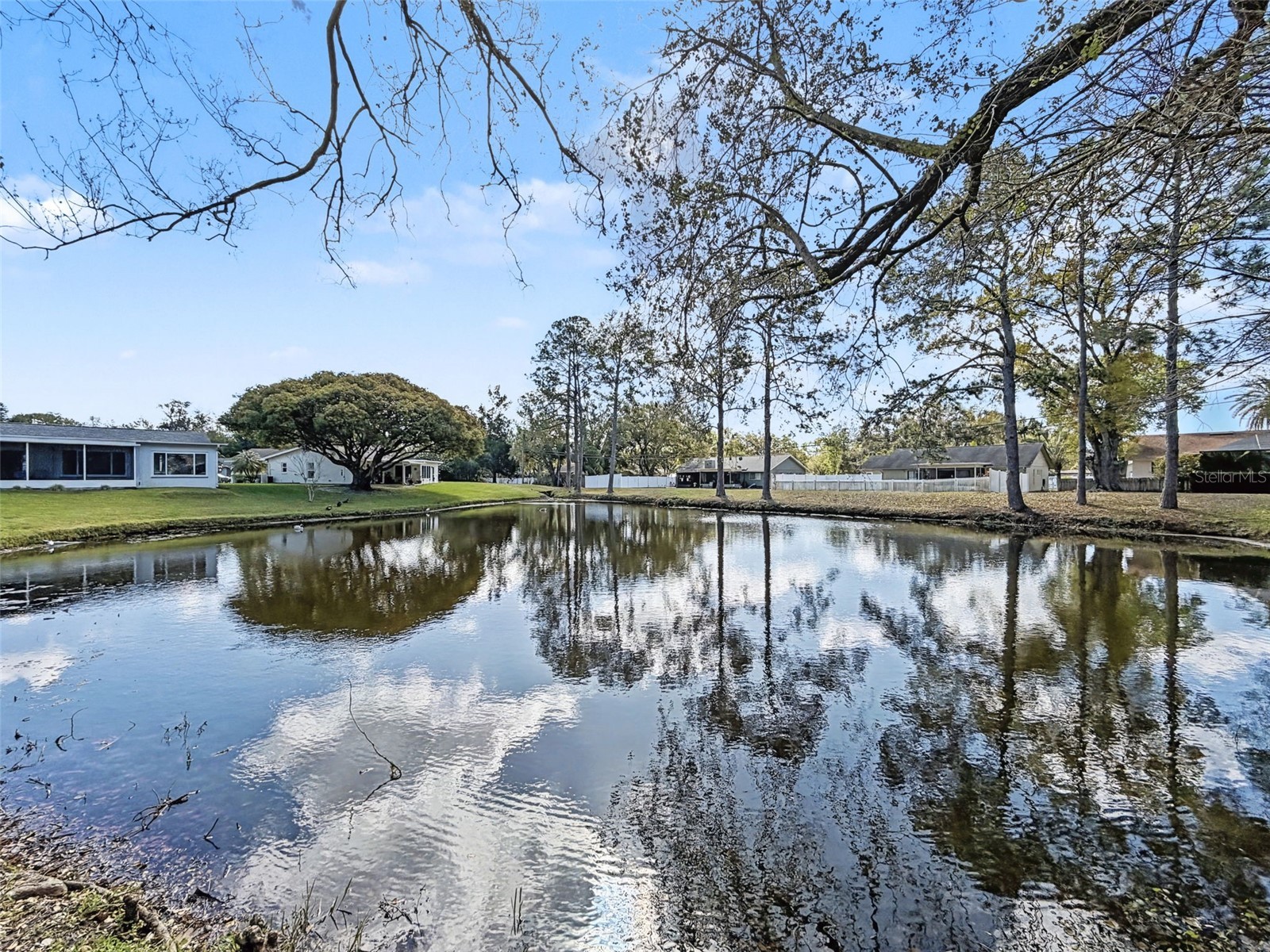 1446 Queen Anne Boulevard Palm Harbor FL 34684 - LAKE TARPON TB8477938 image58