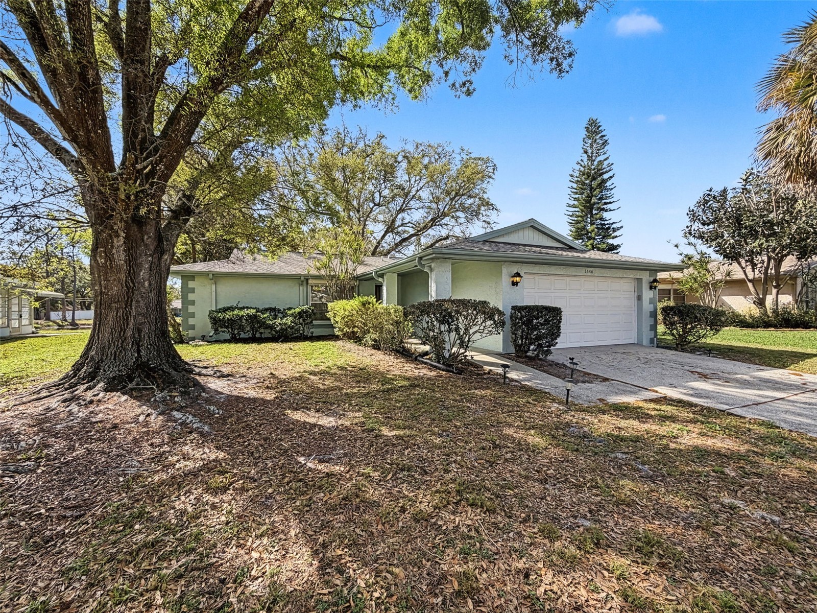 1446 Queen Anne Boulevard Palm Harbor FL 34684 - LAKE TARPON TB8477938 image6