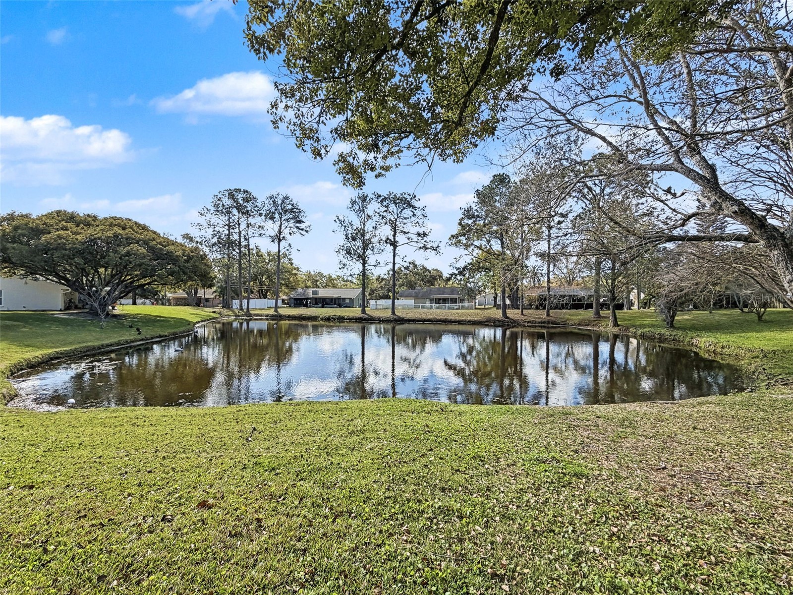 1446 Queen Anne Boulevard Palm Harbor FL 34684 - LAKE TARPON TB8477938 image60