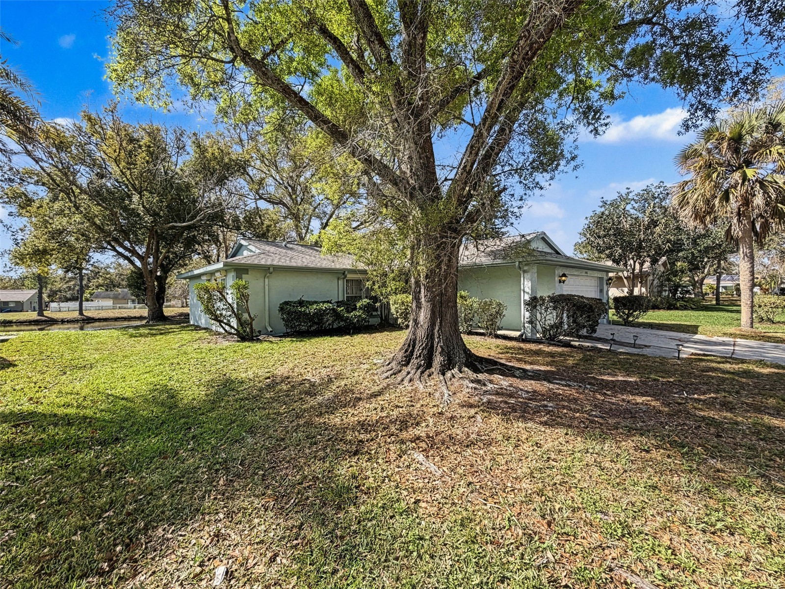 1446 Queen Anne Boulevard Palm Harbor FL 34684 - LAKE TARPON TB8477938 image62