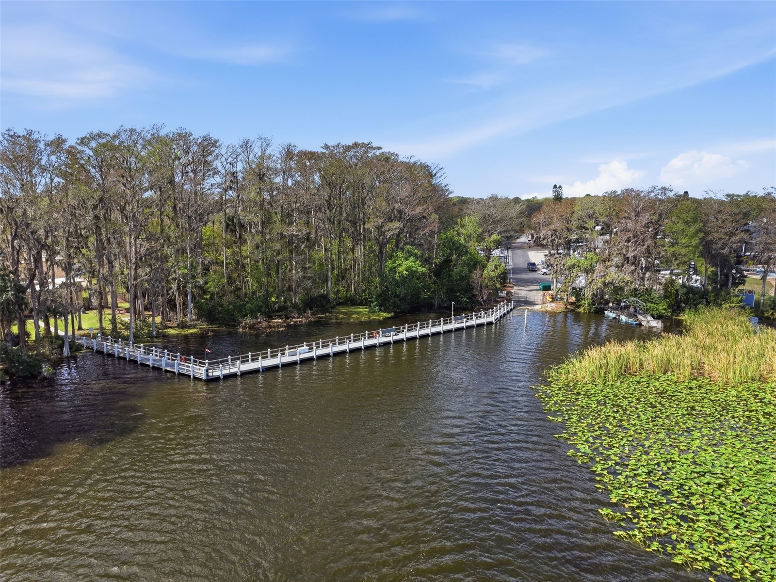 1446 Queen Anne Boulevard Palm Harbor FL 34684 - LAKE TARPON TB8477938 image72