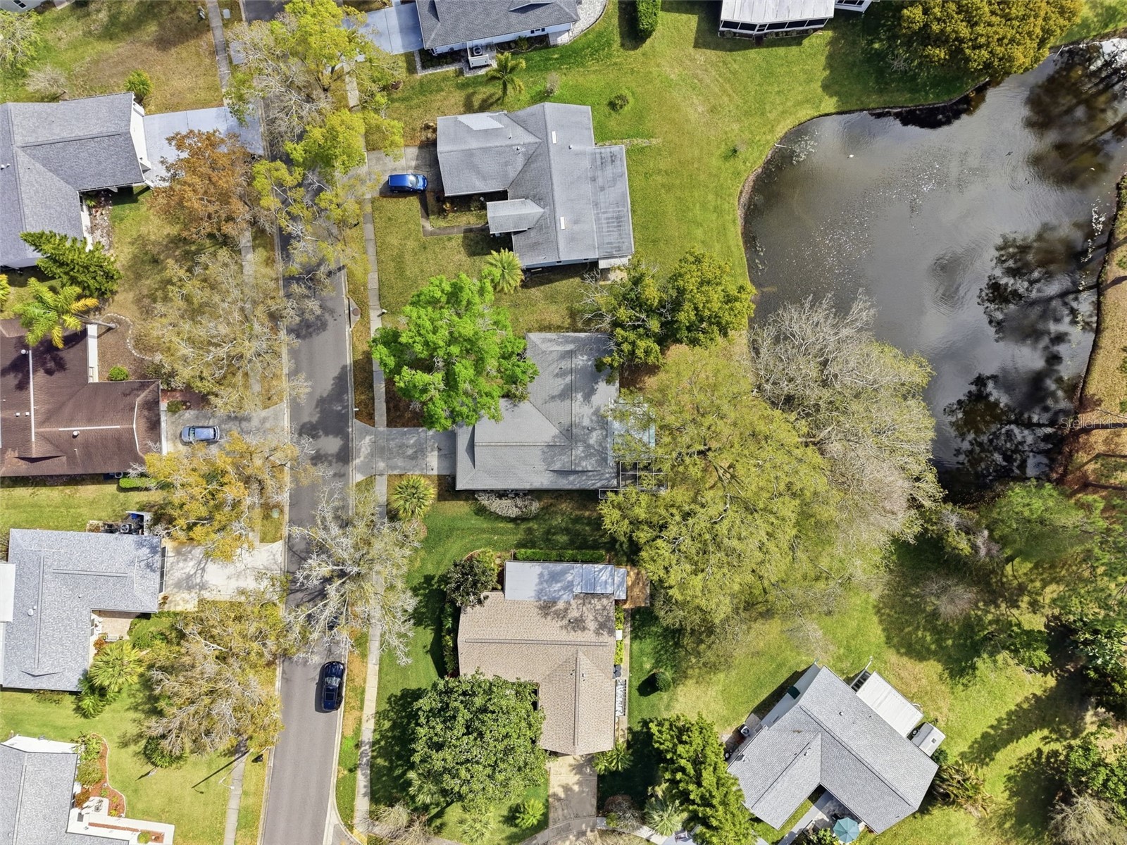 1446 Queen Anne Boulevard Palm Harbor FL 34684 - LAKE TARPON TB8477938 image74