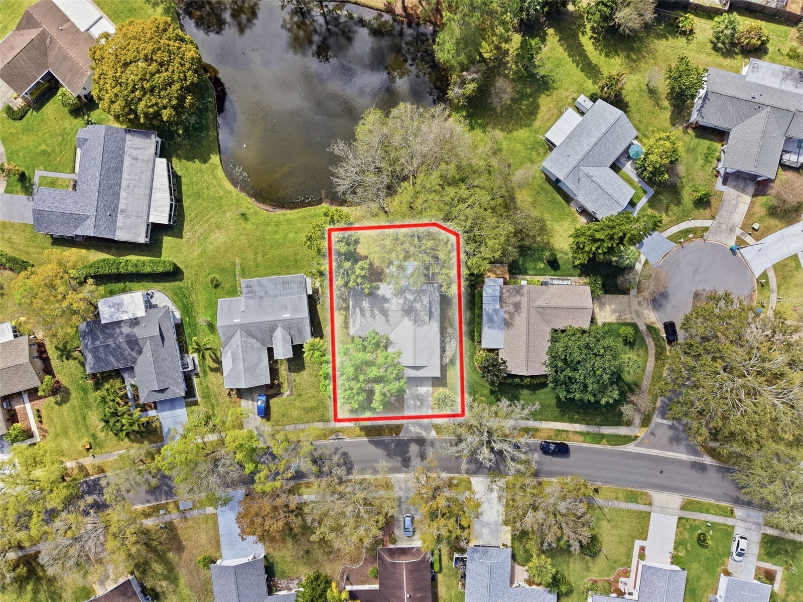 1446 Queen Anne Boulevard Palm Harbor FL 34684 - LAKE TARPON TB8477938 image75