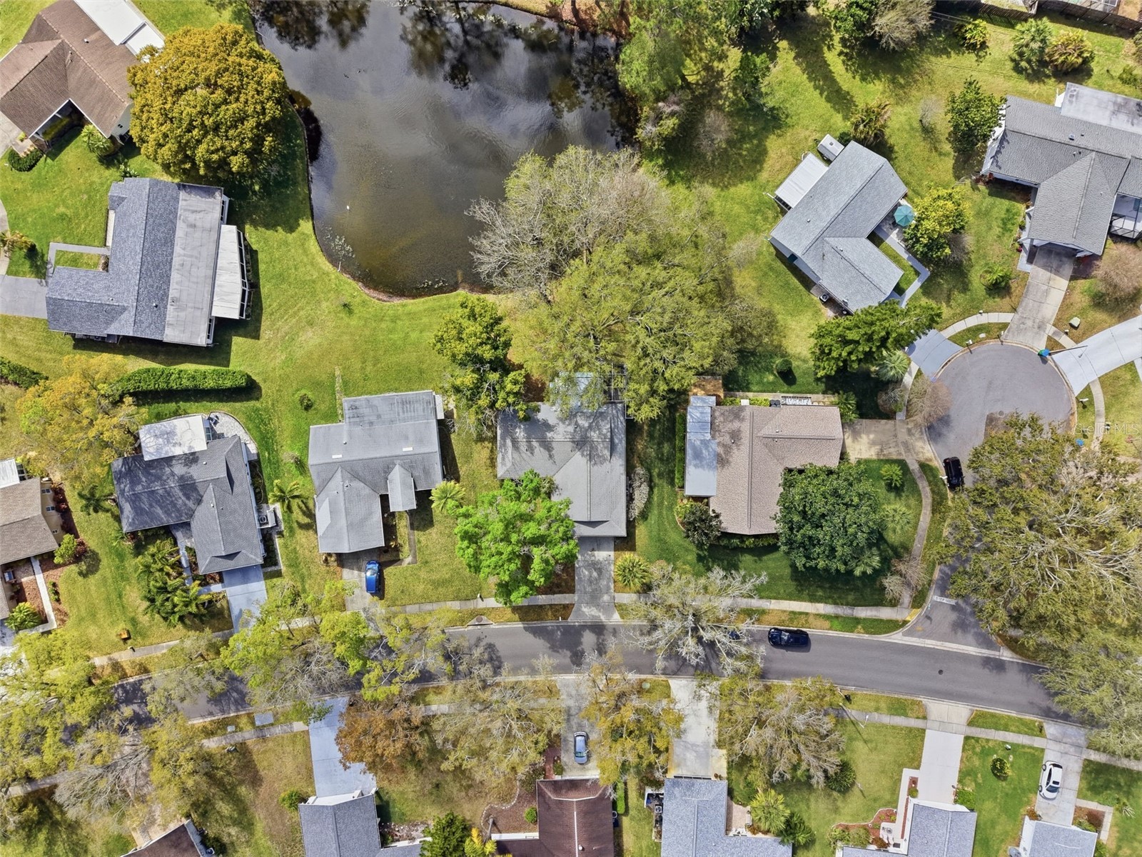 1446 Queen Anne Boulevard Palm Harbor FL 34684 - LAKE TARPON TB8477938 image76