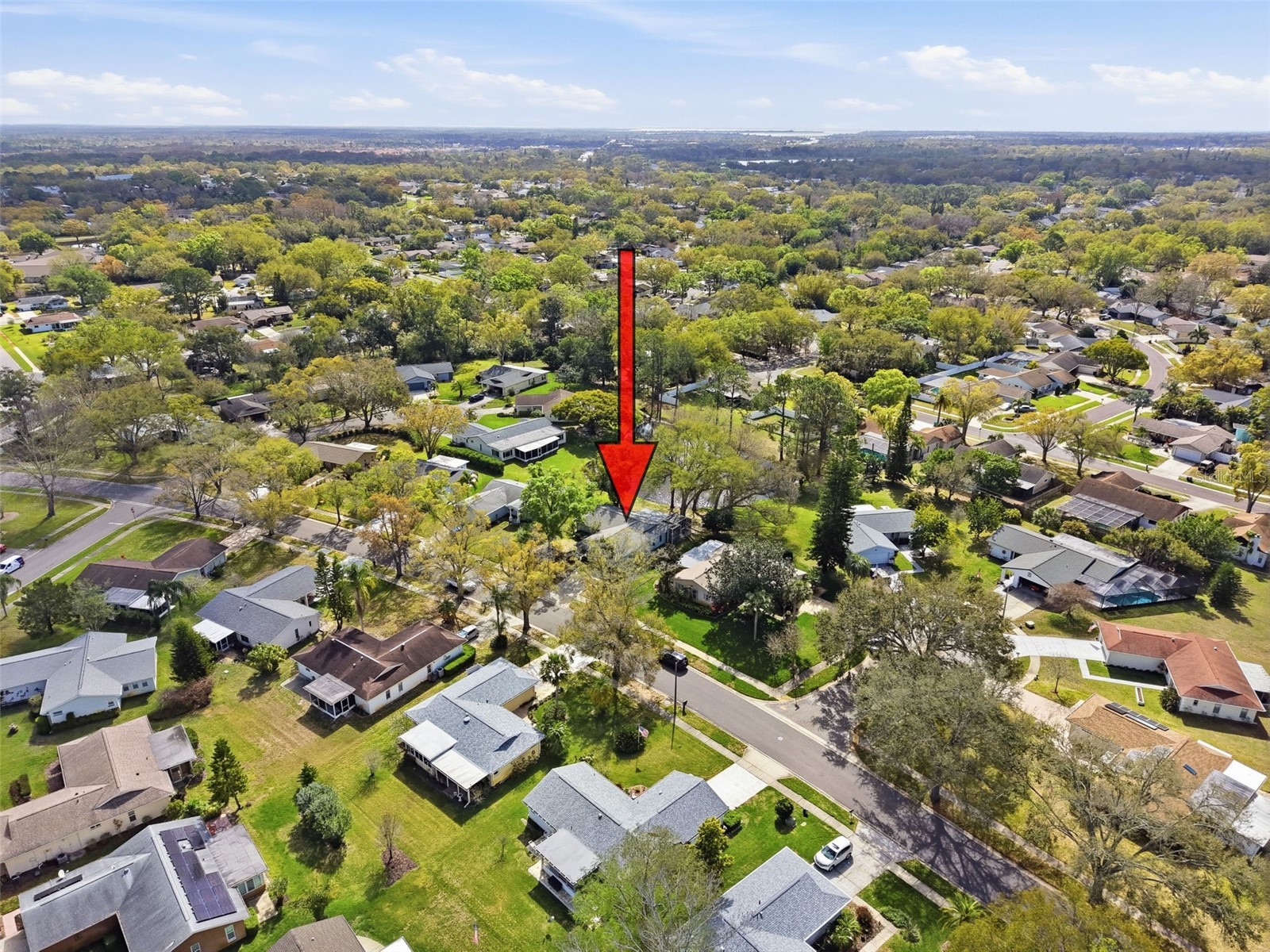 1446 Queen Anne Boulevard Palm Harbor FL 34684 - LAKE TARPON TB8477938 image77