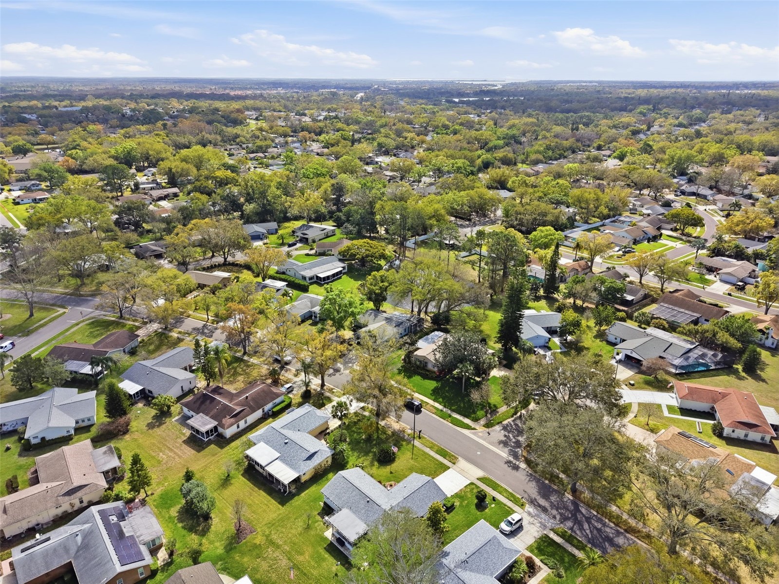 1446 Queen Anne Boulevard Palm Harbor FL 34684 - LAKE TARPON TB8477938 image78