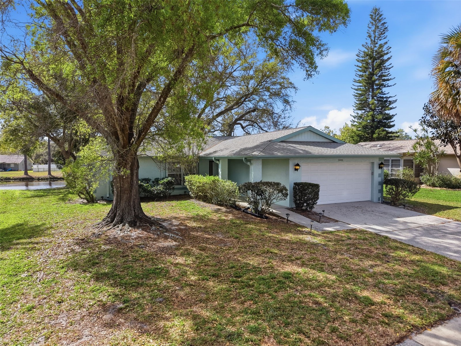 1446 Queen Anne Boulevard Palm Harbor FL 34684 - LAKE TARPON TB8477938 image8