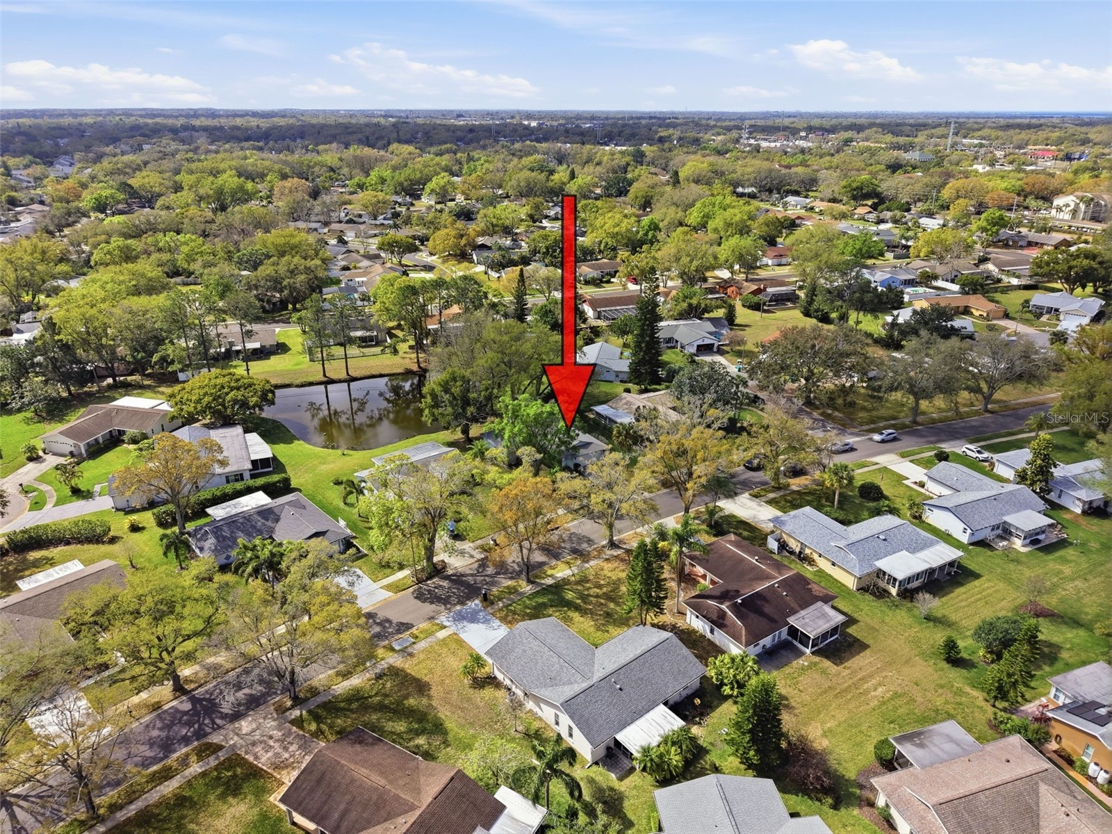 1446 Queen Anne Boulevard Palm Harbor FL 34684 - LAKE TARPON TB8477938 image81