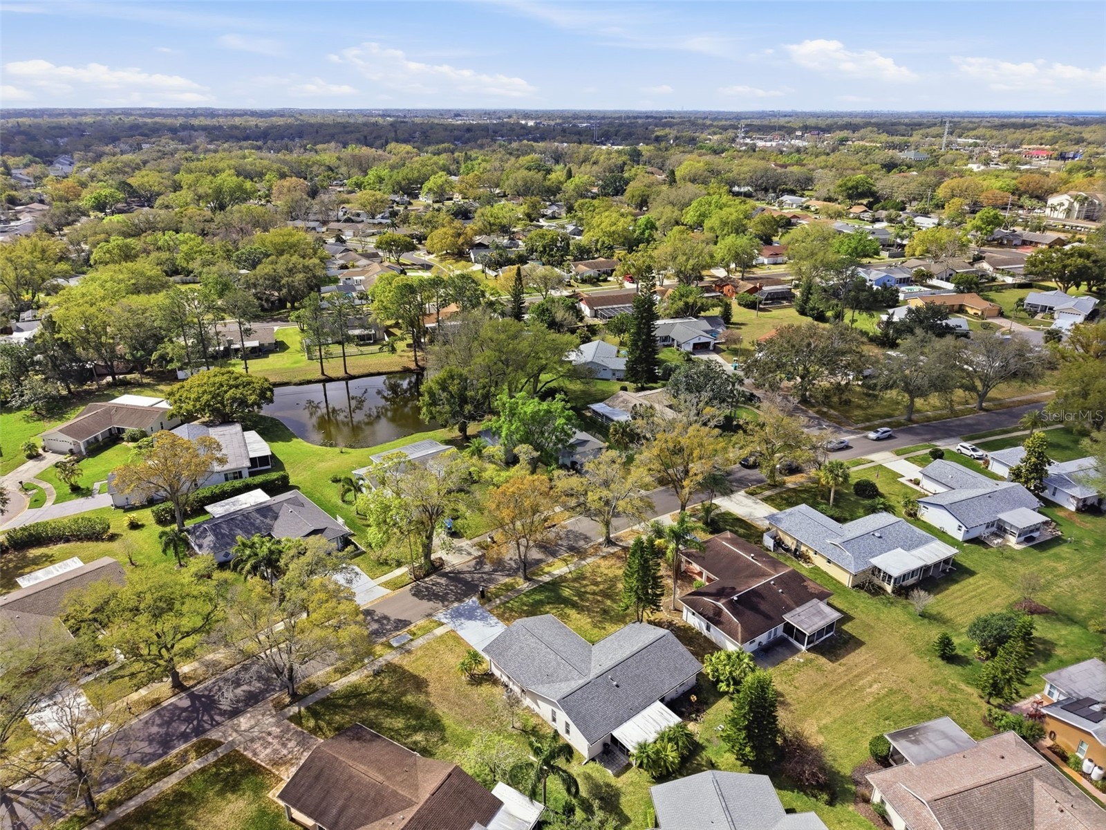 1446 Queen Anne Boulevard Palm Harbor FL 34684 - LAKE TARPON TB8477938 image82