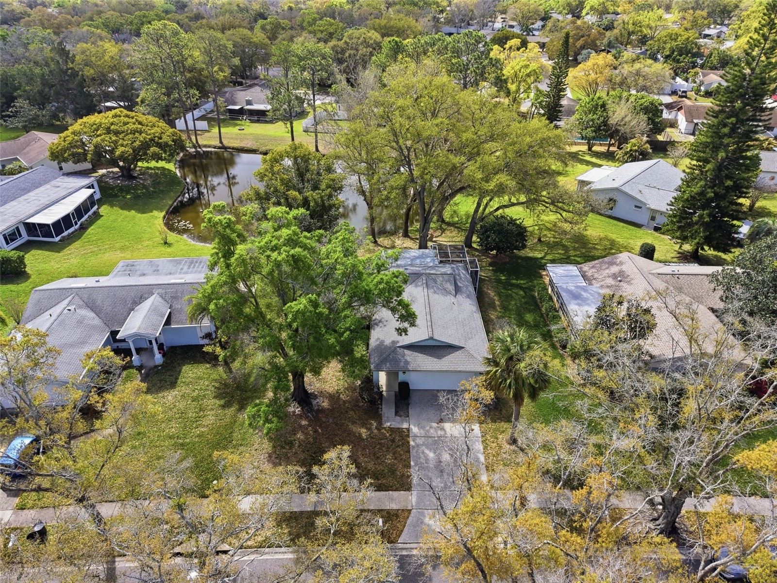 1446 Queen Anne Boulevard Palm Harbor FL 34684 - LAKE TARPON TB8477938 image83