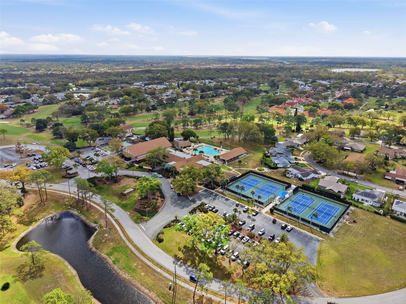 1446 Queen Anne Boulevard Palm Harbor FL 34684 - LAKE TARPON TB8477938 image94