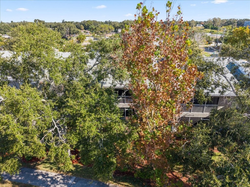 14460 Marina Way #18 Seminole FL 33776 TB8443324 image52