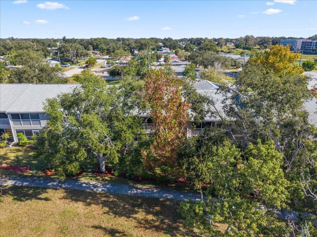 14460 Marina Way #18 Seminole FL 33776 TB8443324 image53