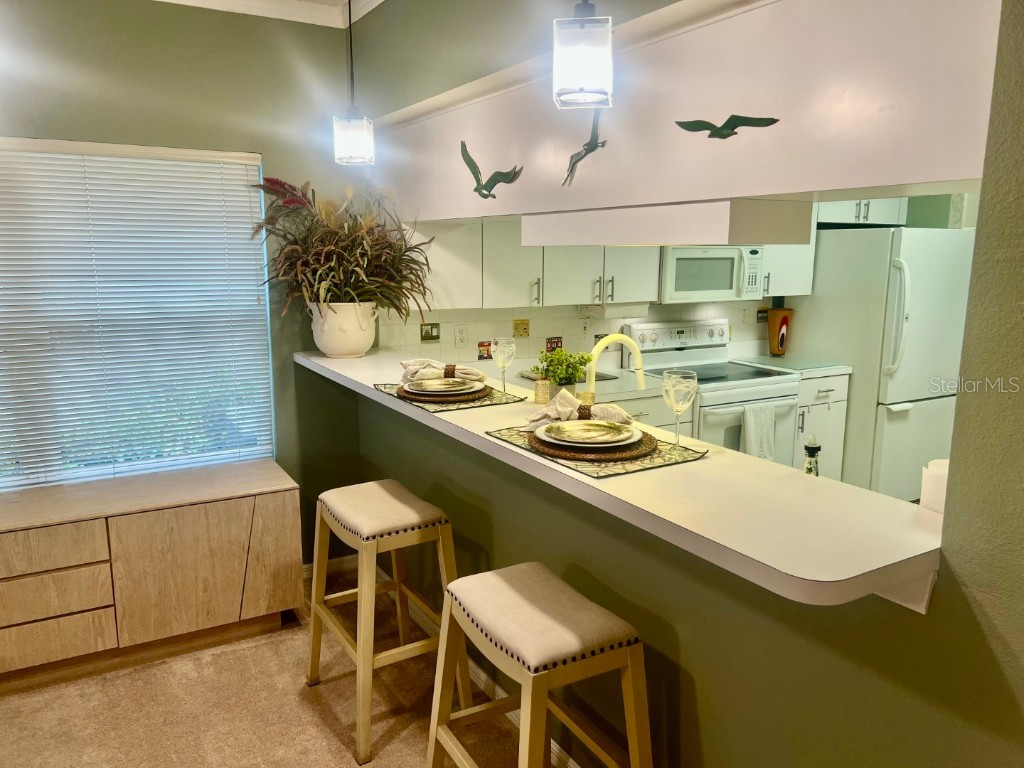 14460 Marina Way #9 Seminole FL 33776 TB8445654 image14