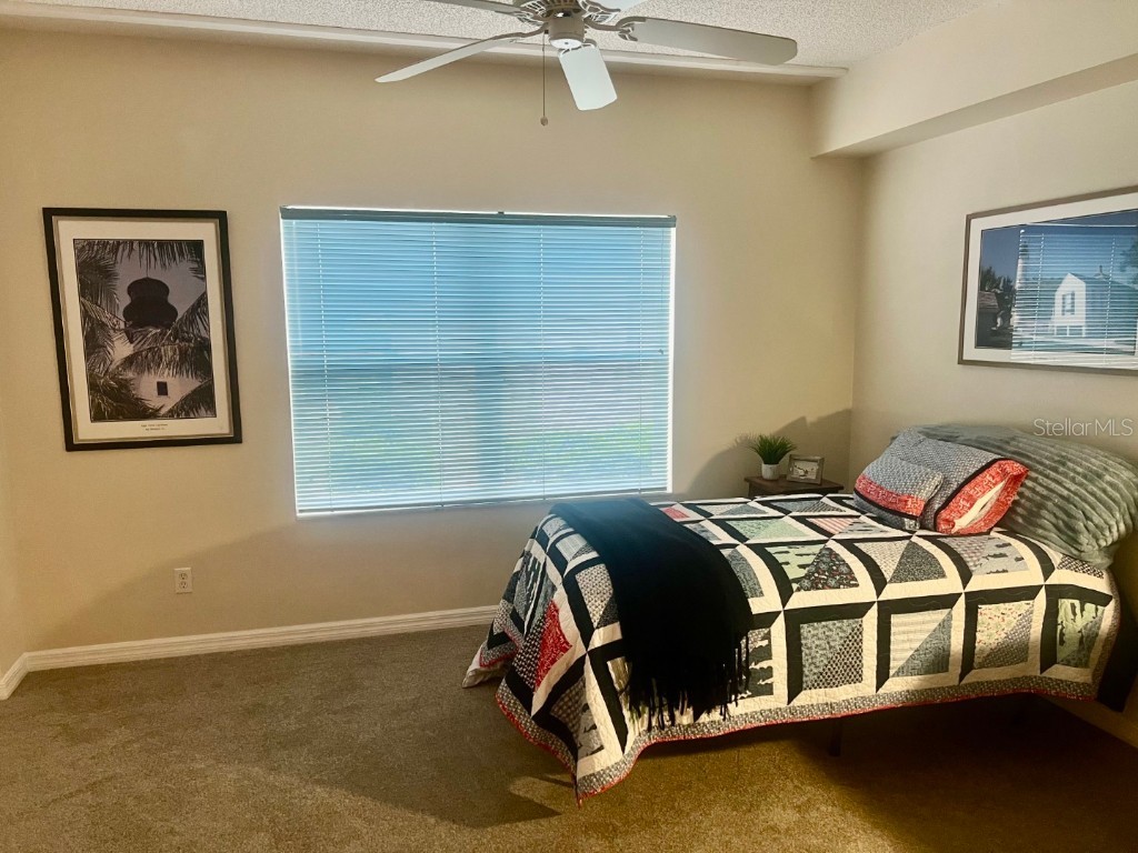 14460 Marina Way #9 Seminole FL 33776 TB8445654 image18