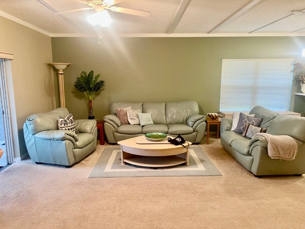 14460 Marina Way #9 Seminole FL 33776 TB8445654 image22