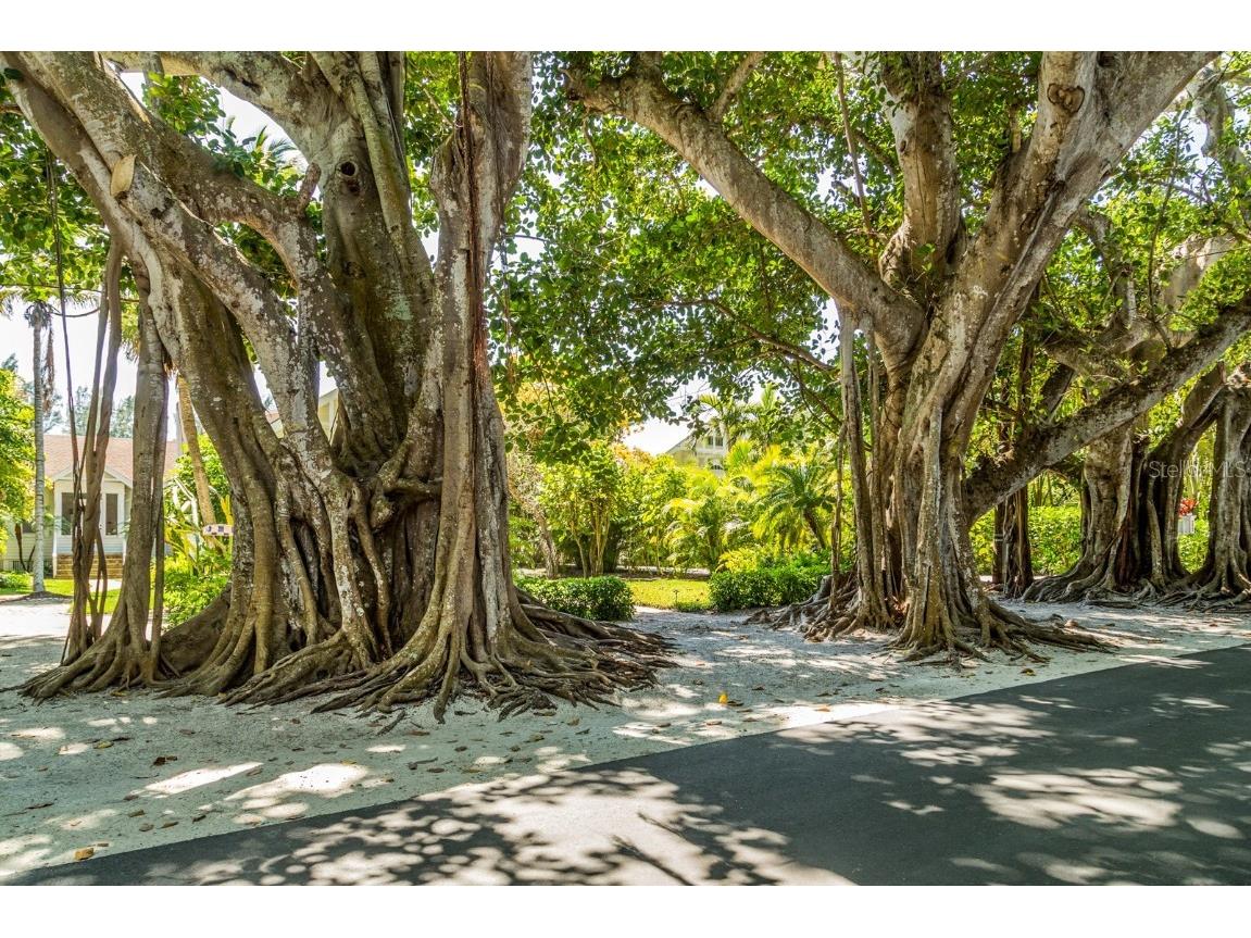 14462 Fort Worth Circle Port Charlotte FL 33981 N6132540 image77