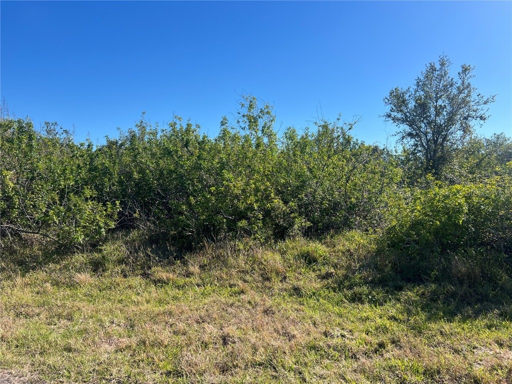 14464 Edna Cir Port Charlotte FL 33981 C7506468 image3