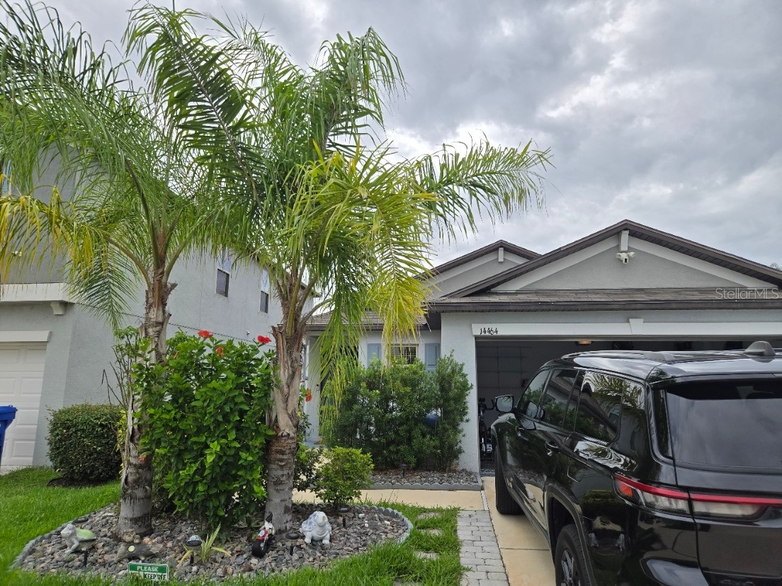 14464 English Lavender Drive Wimauma FL 33598 TB8513952 image1