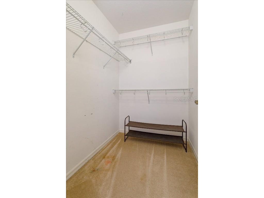 14464 Whittridge Drive Winter Garden FL 34787 G5104492 image23