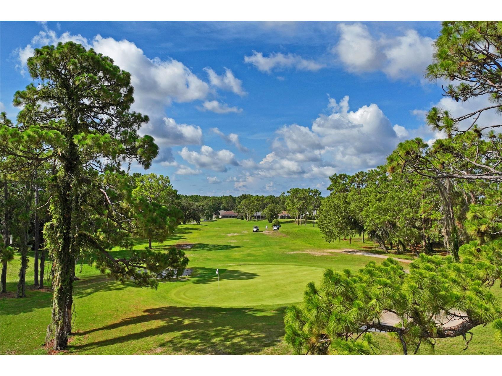 14465 Middle Fairway Drive Spring Hill FL 34609 W7883534 image80