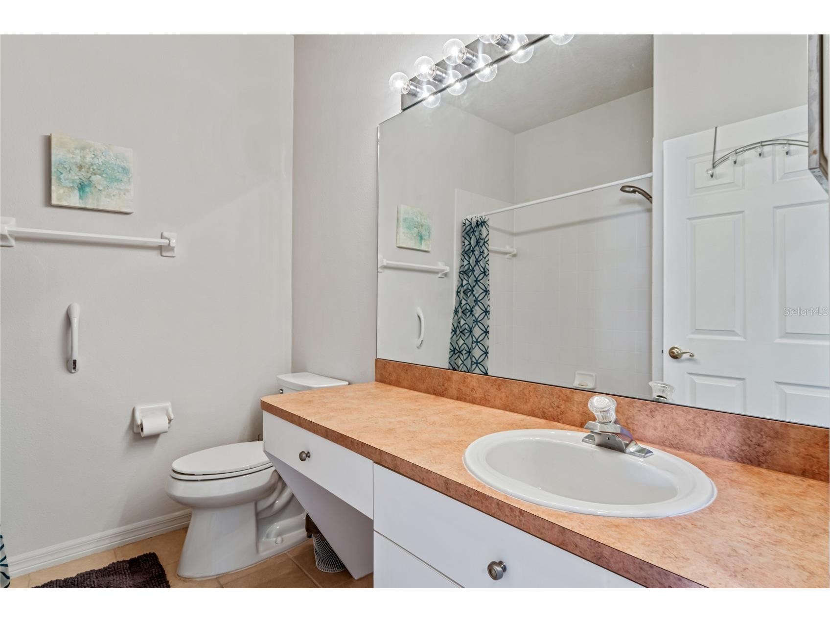 14466 Tamarind Loop Spring Hill FL 34609 W7884209 image31